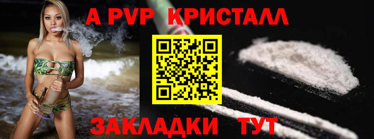 Альфа ПВП СК КРИС Назрань