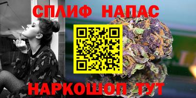 дмт Будённовск
