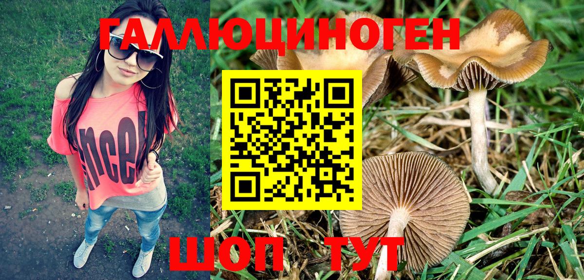 Назрань  Псилоцибиновые грибы мухоморы  Вход с VPN 